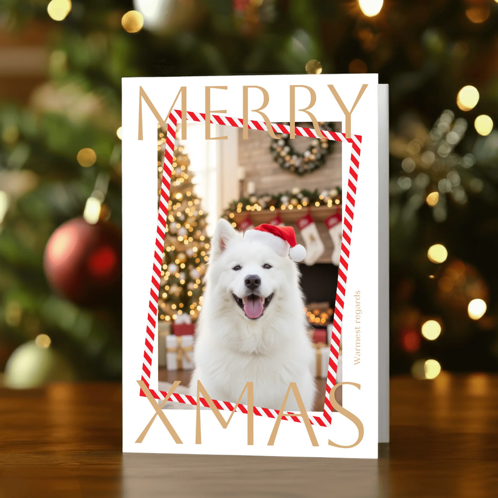 Vertical Front 1500px compressed