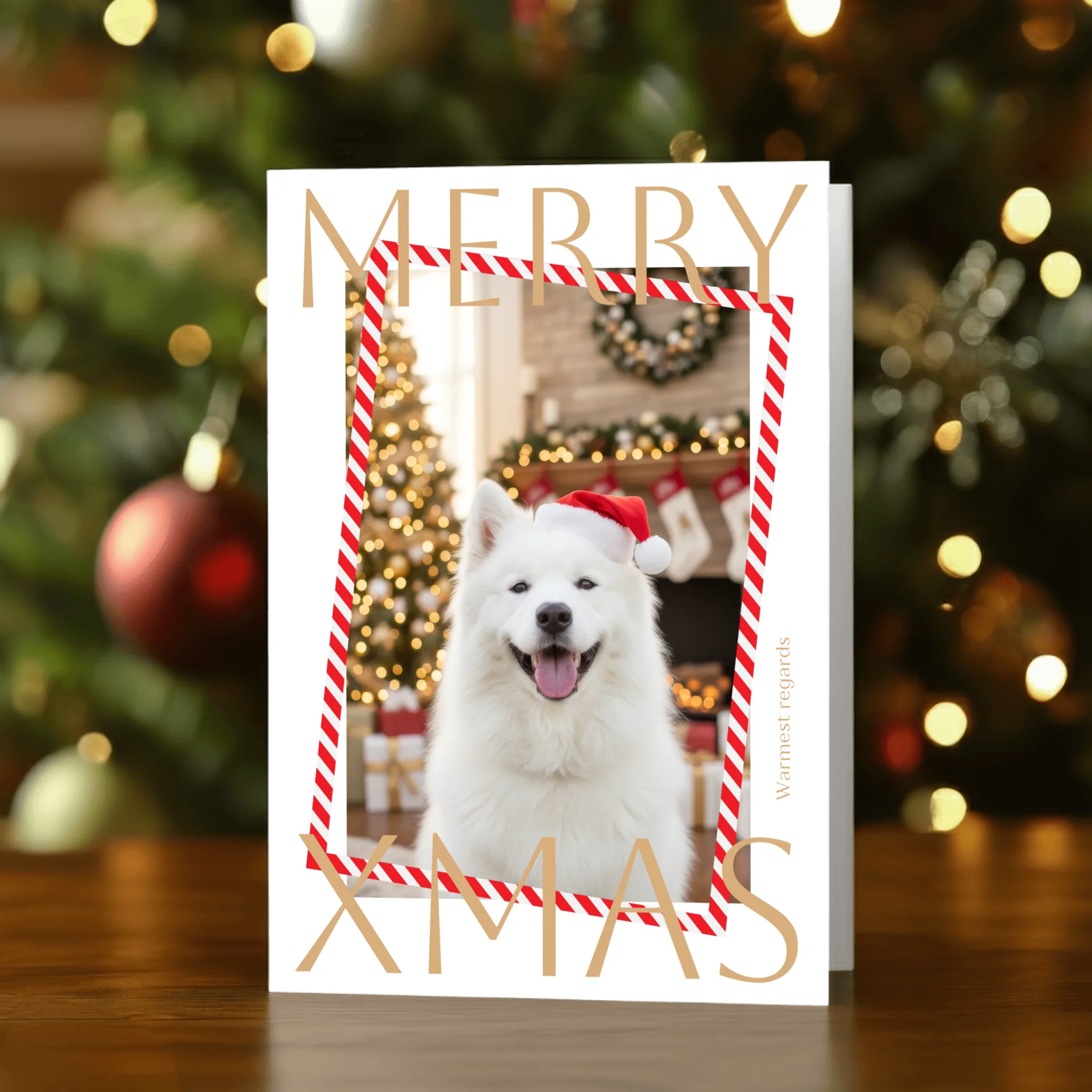 Vertical Front 1500px compressed