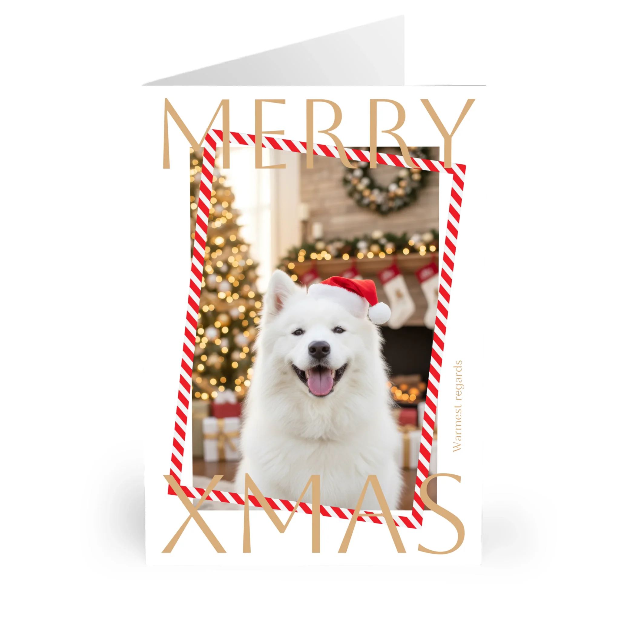 Vertical Front 1500px_E