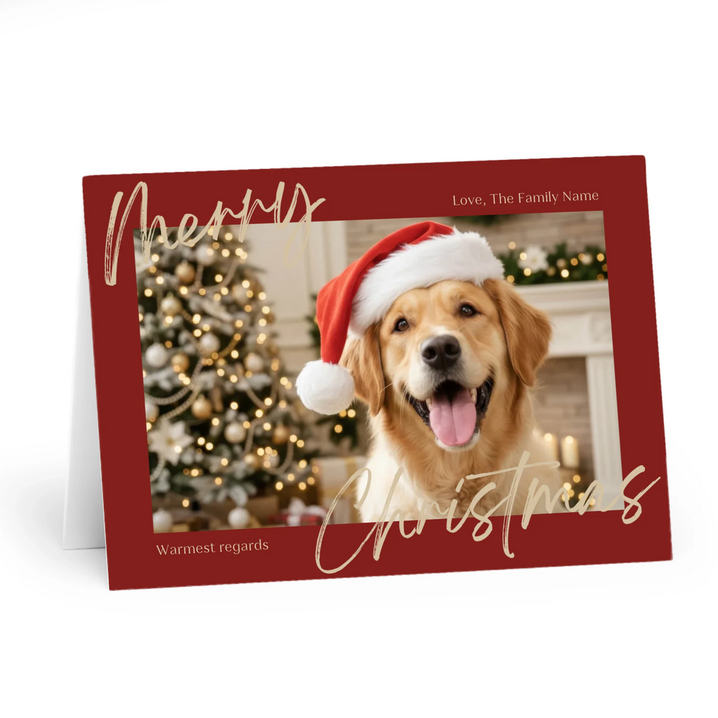 Horizontal Front 1500px_02