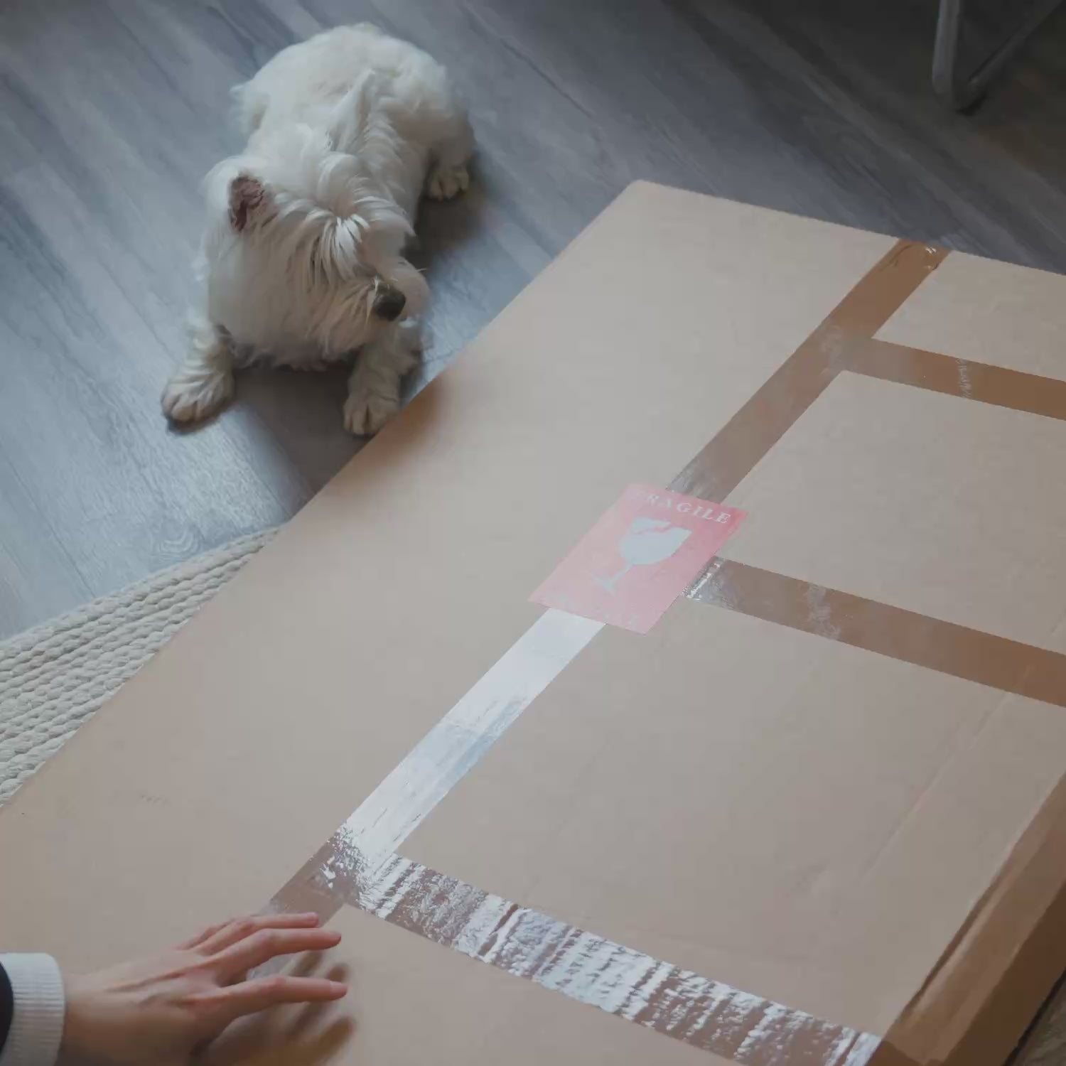 A 6-second unboxing video showcasing a YOUNI.ONE custom bespoke pet portrait. Highlighting the premium archival print and handcrafted frame, arriving ready to hang as the perfect custom pet gift.