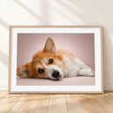 Framed mockup of The Soft Gallery — Blush by YOUNI.ONE. A bespoke horizontal dog portrait set against a gentle Blush studio backdrop, finished with a white gallery border and classic wood frame.