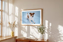 Framed lifestyle mockup of The Soft Gallery — Mist Blue by YOUNI.ONE. A bespoke horizontal dog portrait set against a calm Mist Blue studio backdrop, displayed as gallery-style wall art in a calm modern interior.