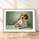 Framed mockup of The Soft Gallery — Sage by YOUNI.ONE. A bespoke horizontal dog portrait set against a soft Sage studio backdrop, finished with a white gallery border and classic wood frame.