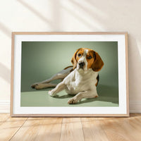 Framed mockup of The Soft Gallery — Sage by YOUNI.ONE. A bespoke horizontal dog portrait set against a soft Sage studio backdrop, finished with a white gallery border and classic wood frame.