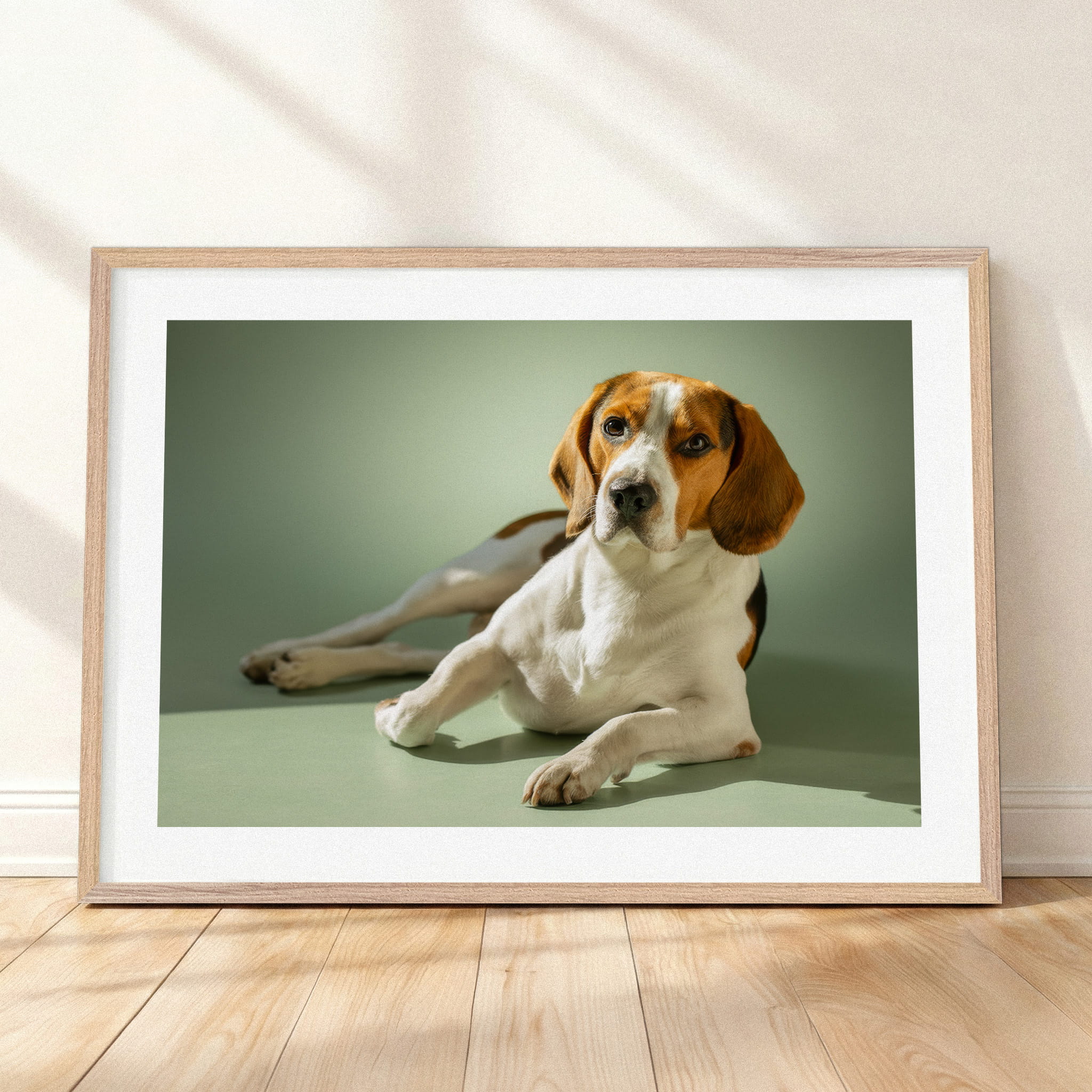 Framed mockup of The Soft Gallery — Sage by YOUNI.ONE. A bespoke horizontal dog portrait set against a soft Sage studio backdrop, finished with a white gallery border and classic wood frame.