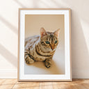 Framed mockup of The Soft Portrait — Ivory by YOUNI.ONE. A bespoke vertical cat portrait set against a warm Ivory studio backdrop, finished with a white gallery border and classic wood frame.