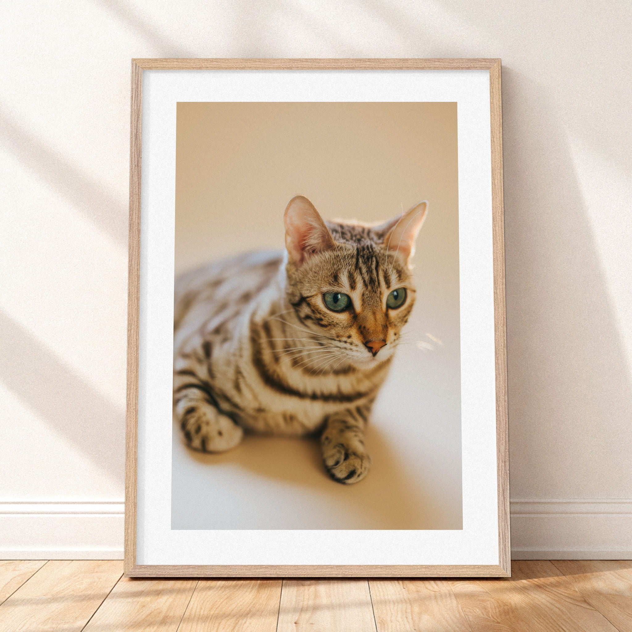 Framed mockup of The Soft Portrait — Ivory by YOUNI.ONE. A bespoke vertical cat portrait set against a warm Ivory studio backdrop, finished with a white gallery border and classic wood frame.