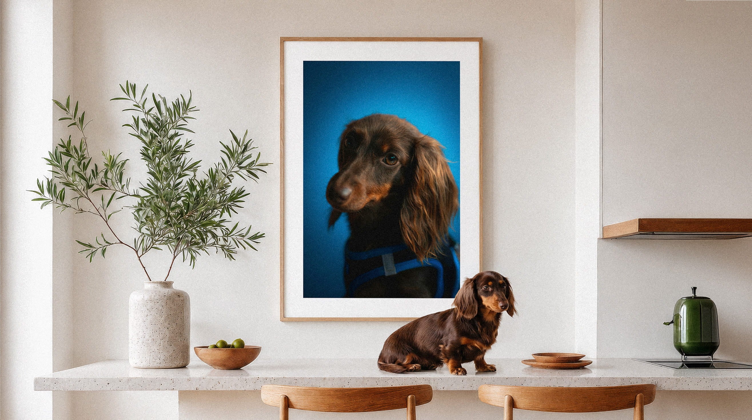 Framed lifestyle mockup of The Statement Edit by YOUNI.ONE. A bespoke pet portrait set against a bold Cerulean studio backdrop, displayed as gallery-style wall art in a warm modern interior.