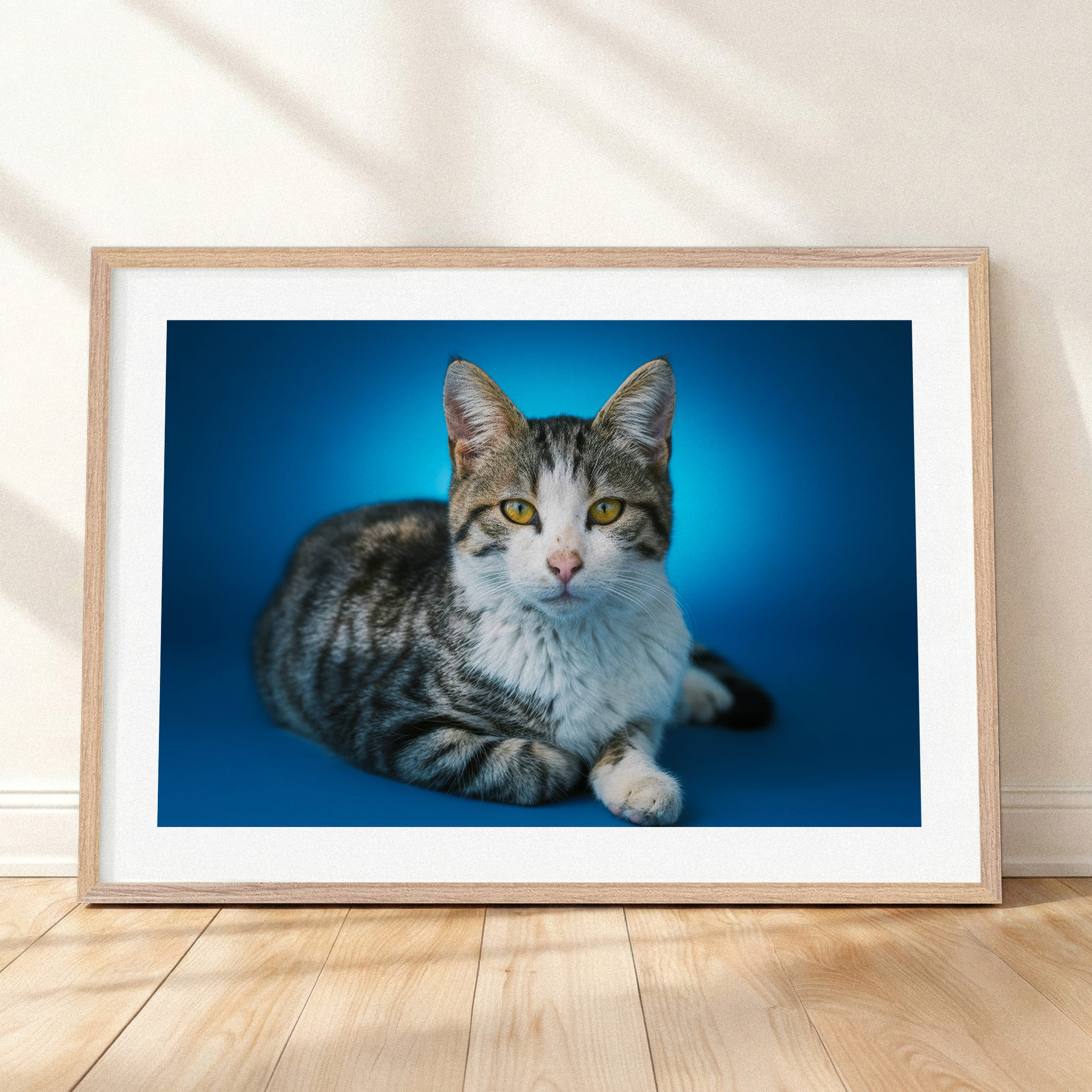 Framed mockup of The Statement Gallery — Cerulean by YOUNI.ONE. A bespoke horizontal pet portrait set against a refined Cerulean studio backdrop, finished with a white gallery border and classic wood frame.