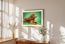 Framed lifestyle mockup of The Statement Gallery — Jade by YOUNI.ONE. A bespoke horizontal dog portrait set against a refined Jade studio backdrop, displayed as gallery-style wall art in a warm modern interior.