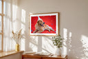 "The Birthday Gallery - Studio Red" by YOUNI.ONE. A custom bespoke horizontal pet portrait featuring, a dog wearing birthday hats, elegantly displayed in a classic wood frame. Gallery-quality pet art and bespoke gift.